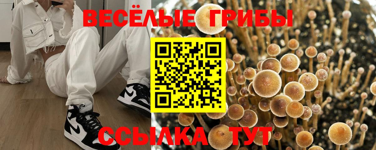 Галлюциногенные грибы прущие грибы Городец